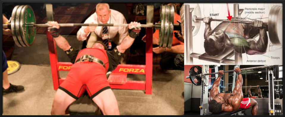Shoulder Plechi Effects Of Grip Width During Bench Press On