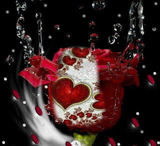 imagenes de corazones lindos para descargar imagenes de fotos con corazones