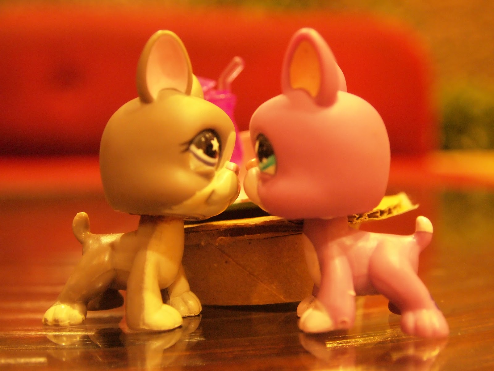 Cool Lps