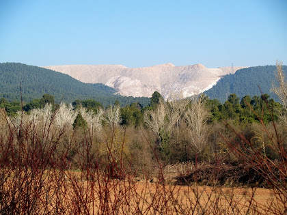 El runam salí del Cogulló des de la Sèquia de Manresa, al bell mig del Pla de Bages. El runam salí del Cogulló des de la Sèquia de Manresa, al bell mig del Pla de Bages.