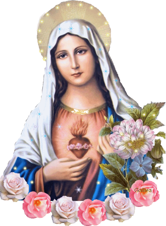 Im Genes Virgen Mar A Para Colorear Gifs Y Fondos | 174 blog cat 243 lico gotitas espirituales 174 el sant 205 simo Im Genes Virgen Mar A Para Colorear Gifs Y Fondos | 174 blog cat 243 lico gotitas espirituales 174 el sant 205 simo