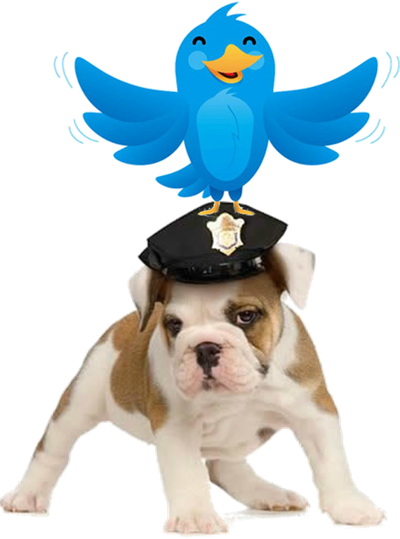 Head of Compliance at Swiss Banks has to have a Twitter Account as well Head of Compliance at Swiss Banks has to have a Twitter Account as well