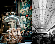 A quick day trip to San Francisco. Far West Funghi mushrooms, Ferry Building . sanfrancisco 