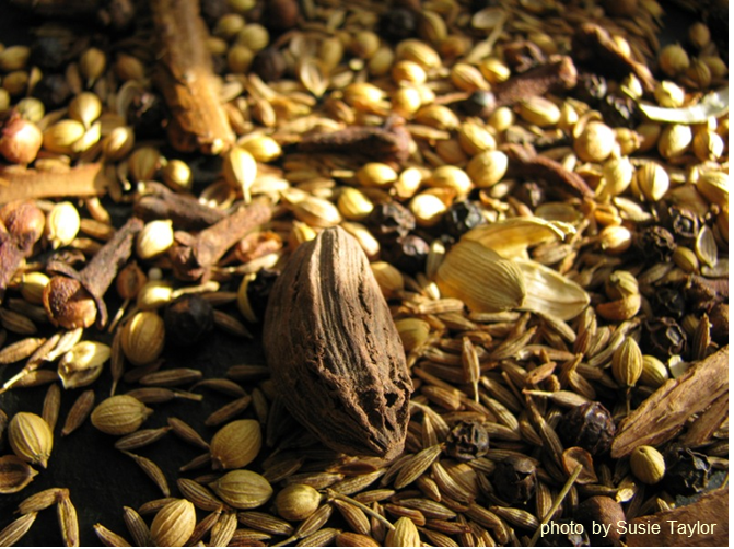 The Moose Curry Experience An Act of Cod IndianSpiced Fish & Chips