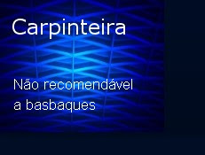 voando sobre um ninho de basbaques