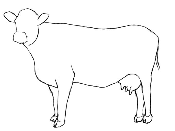 Cow Draw