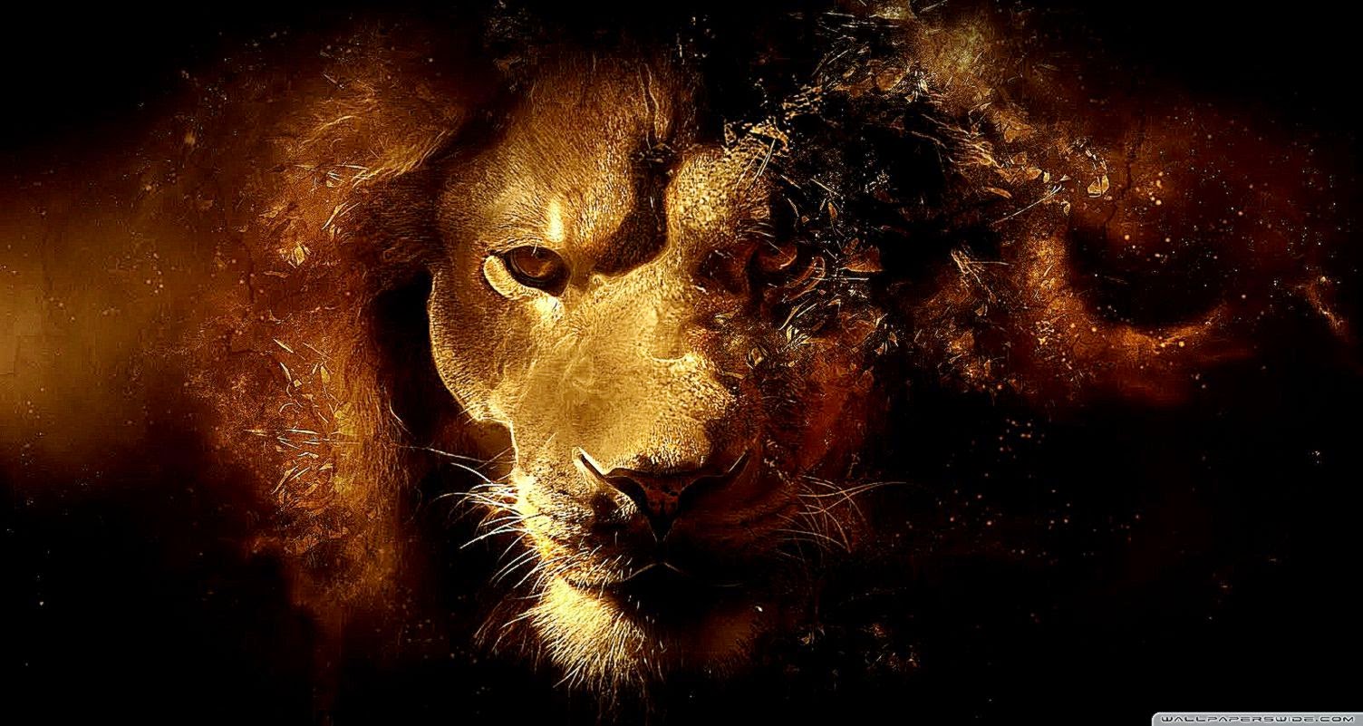 Cool Lion Colorful Wallpaper Hd Desktop