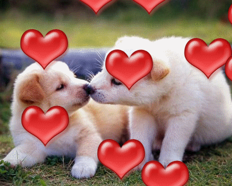 3D Gif Animations - Free download i love you images photo background  screensaver e-cards: puppy love free animated gifs cats free animated gifs  dogs free animated gifs crocodiles funny animated GIF images ...