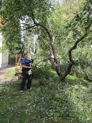 Omenapuiden leikkaukset joko kombikoneella tai erikoissahoilla turvallisesti teleskooppivarrella