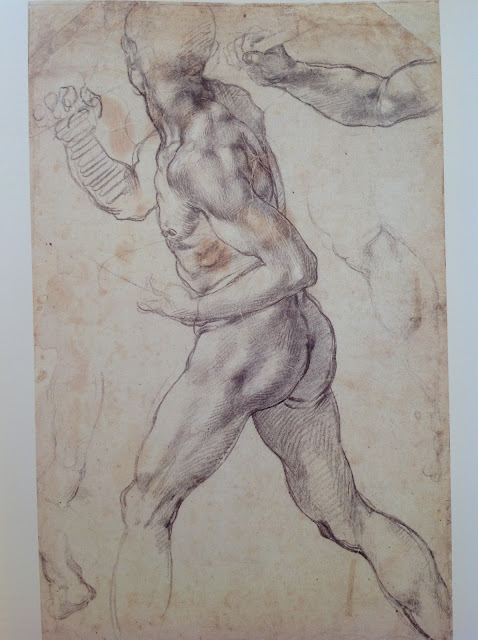 Michelangelo. A male Nude.