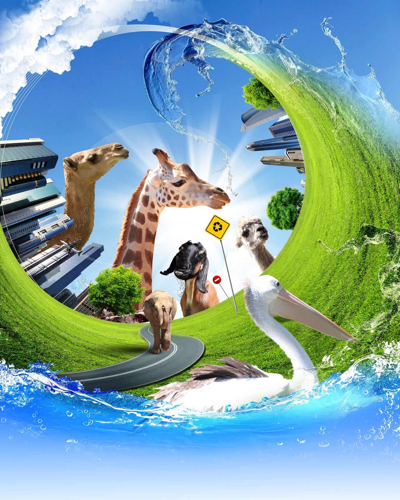 ECOLOGIA DEL AGUA ecologia del agua: