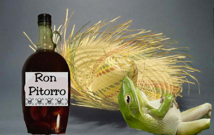 ron canita