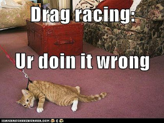 funny-cat-pictures-drag-racing-ur-doin-i
