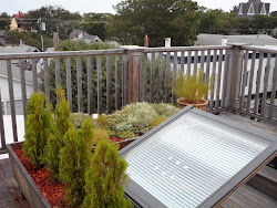 Green Roof Egress Skylight