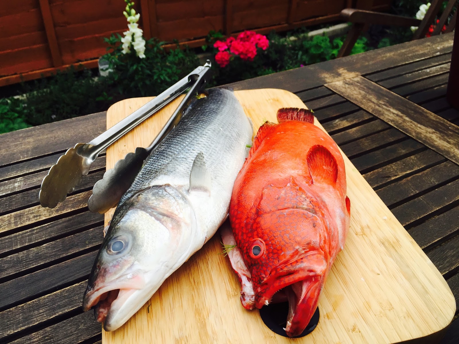 Arctic Cloudberry Super duper Red Grouper and a really wild Sea Bass