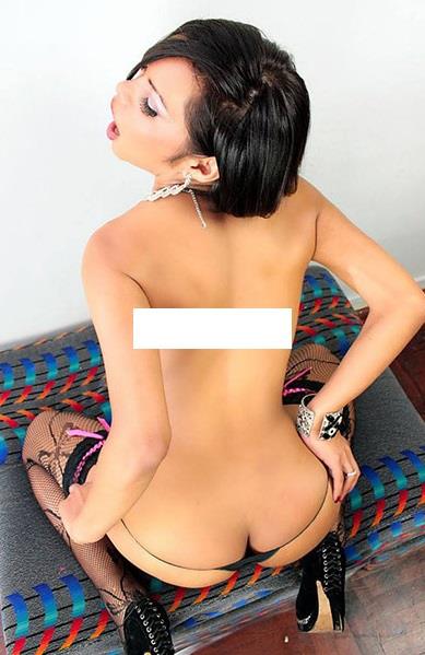 trans mexicana muy puta actriz porno shemale videos