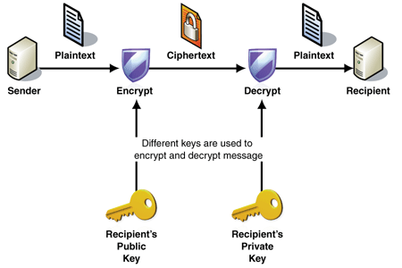 The private key allows you to decrypt your files and once again gain access to them