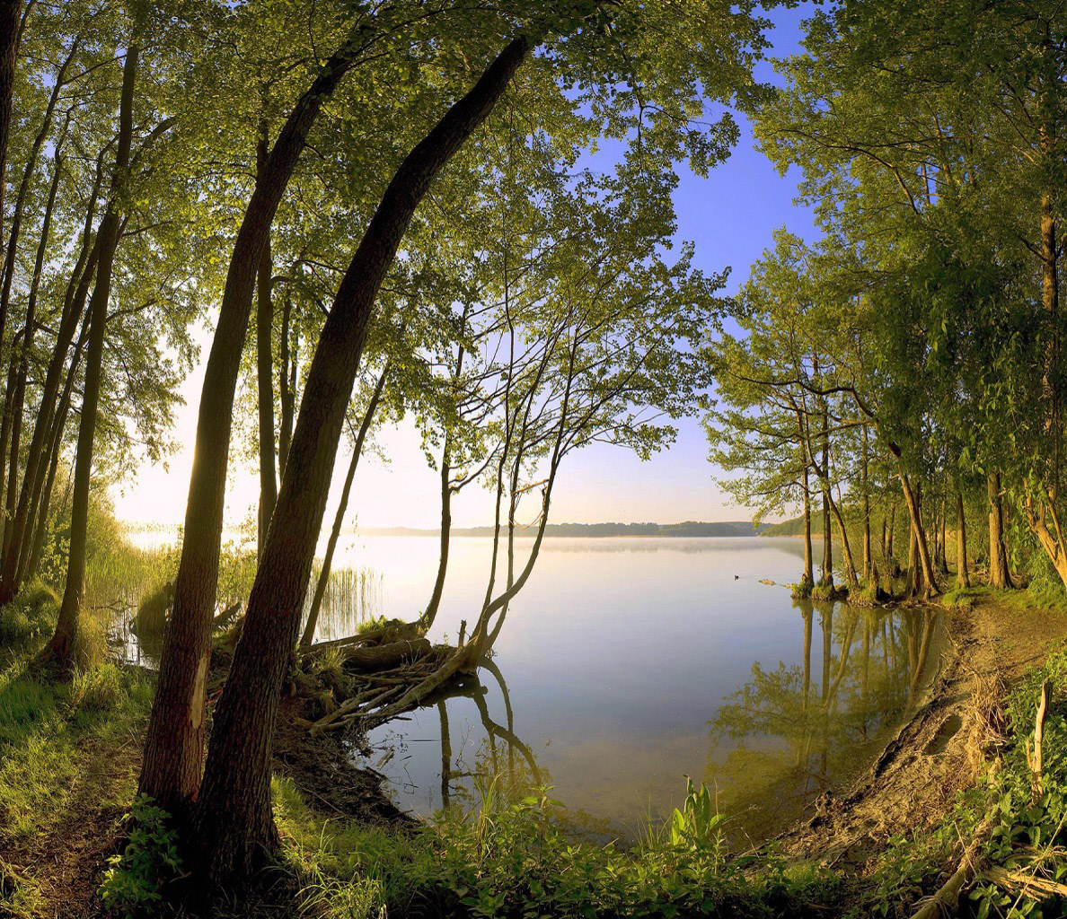 Nature Images ~ Wall Paper Store