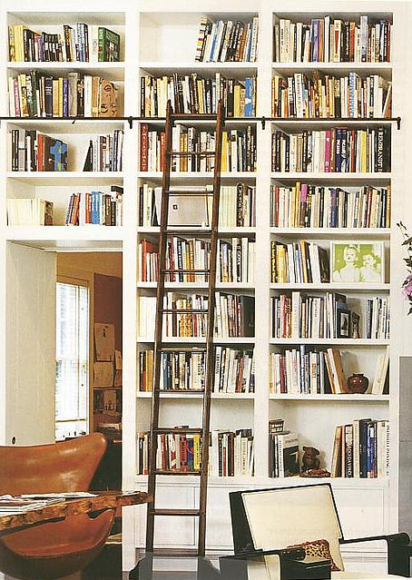 David Dangerous: Bookshelves