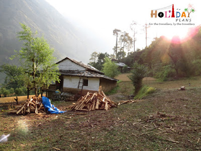 Villagers collecting wood Villagers collecting wood