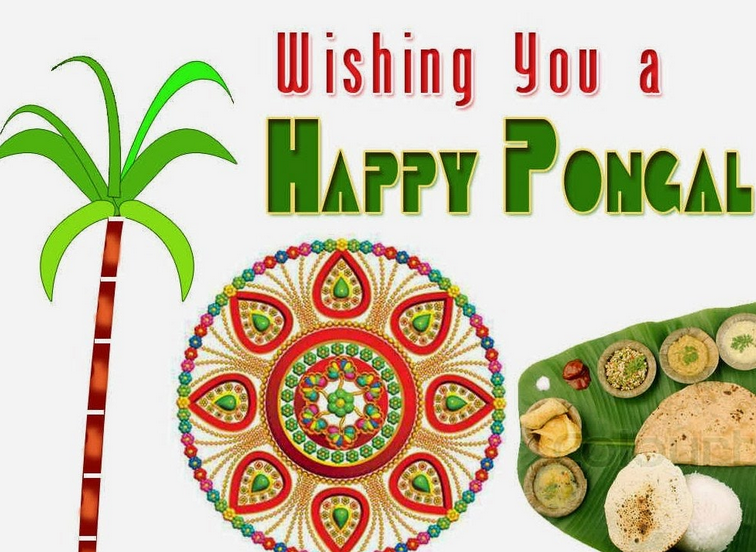 Happy Sankranti 2015 Whatsapp Status Happy Sankranti 2015 Whatsapp Status DP Free