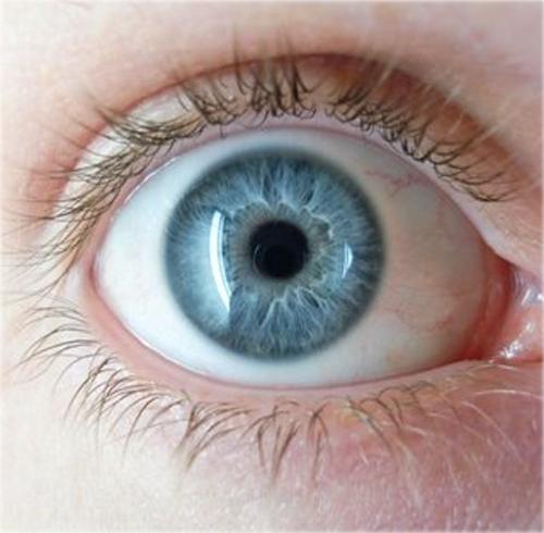 pupila del ojo