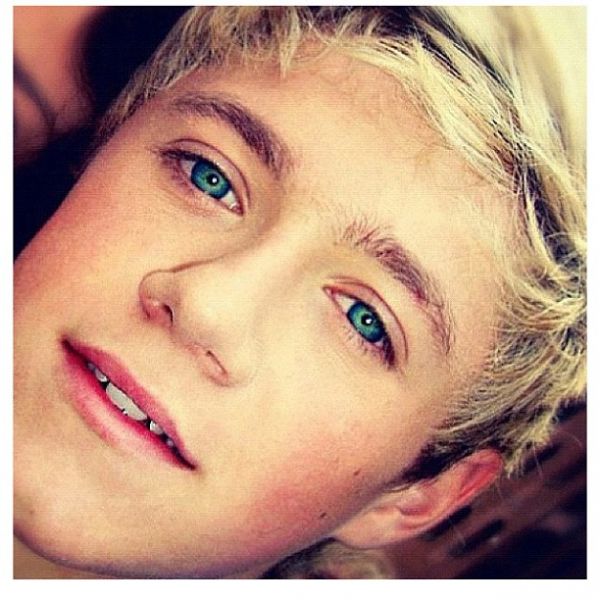 One Direction 50 Fact About Niall Horan