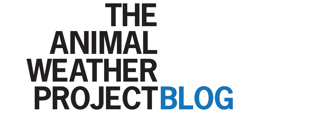 The Animal Weather Project