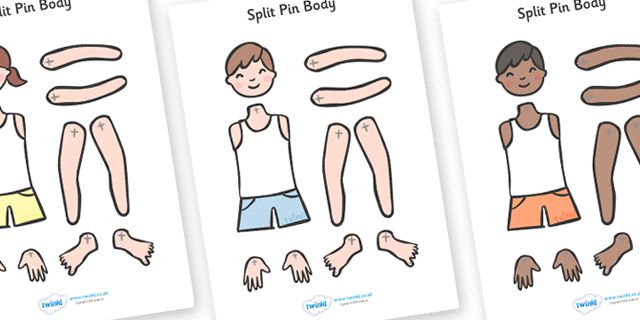 body image paper body image paper