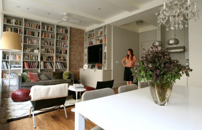 biblioteca en casa 3, cotos de luna