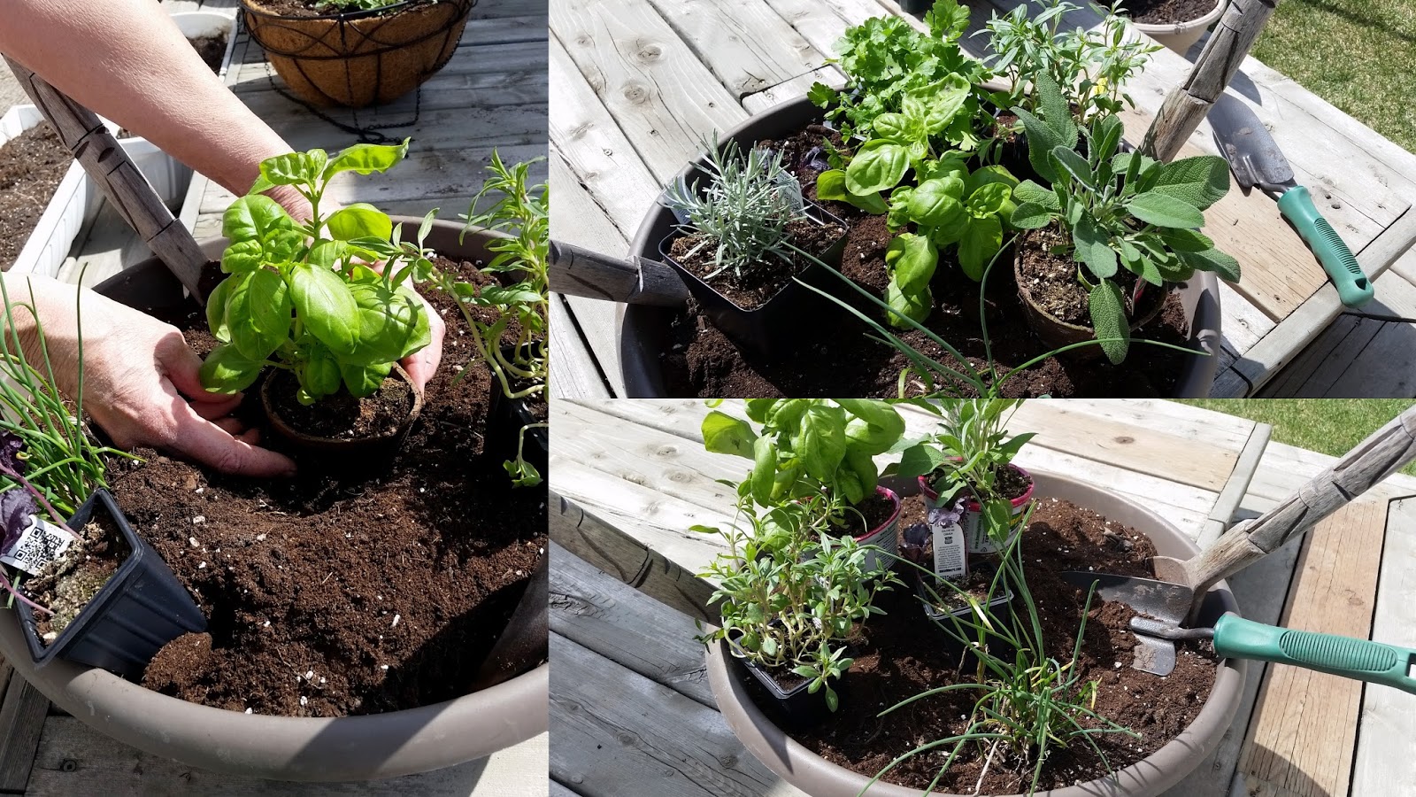 Mennonite Girls Can Cook 'Salad Bowl' / 'Herb Bowl' Planter