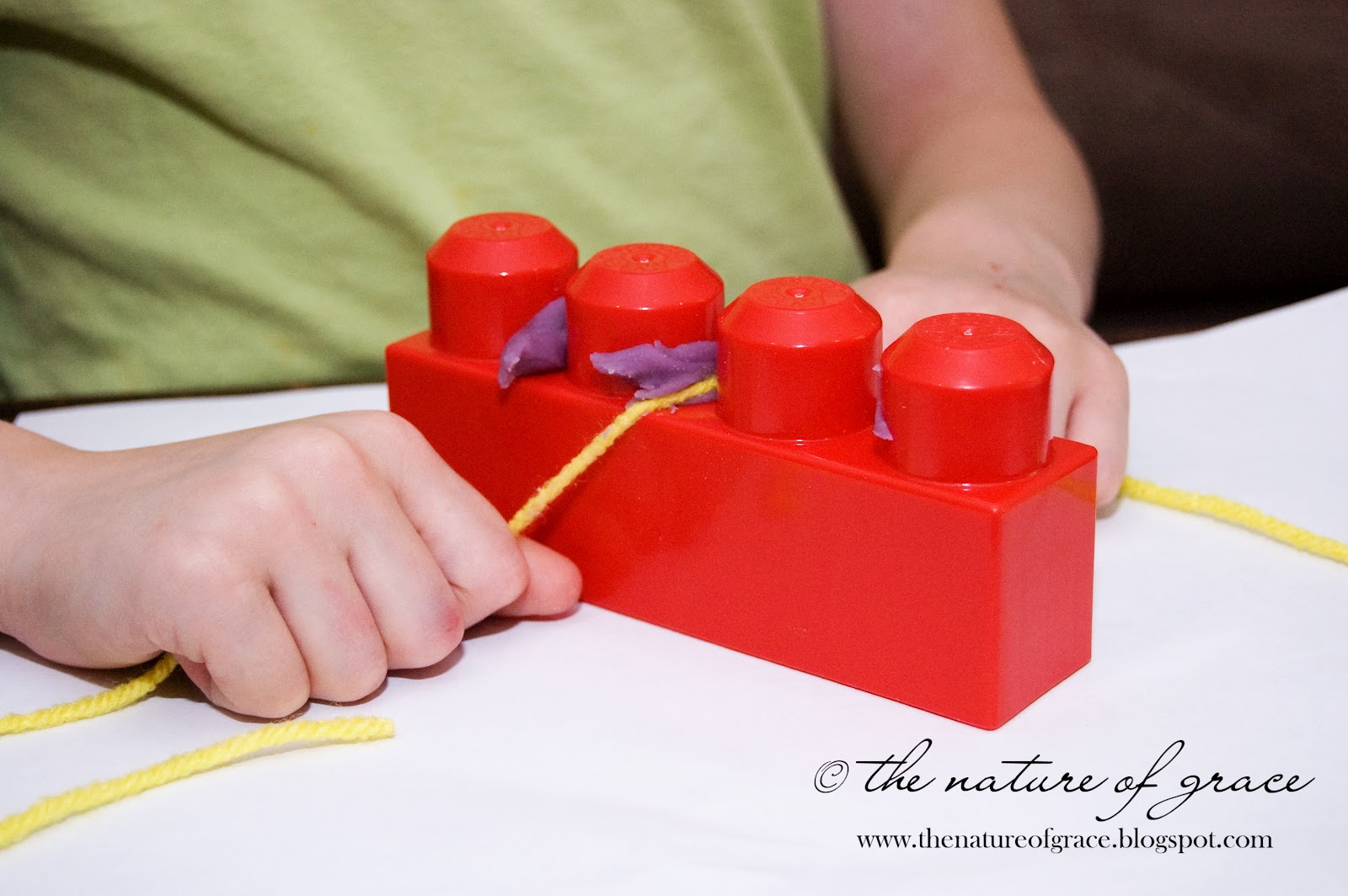 The Nature of Grace Homeschool Theme of the Week Dentist and Teeth!