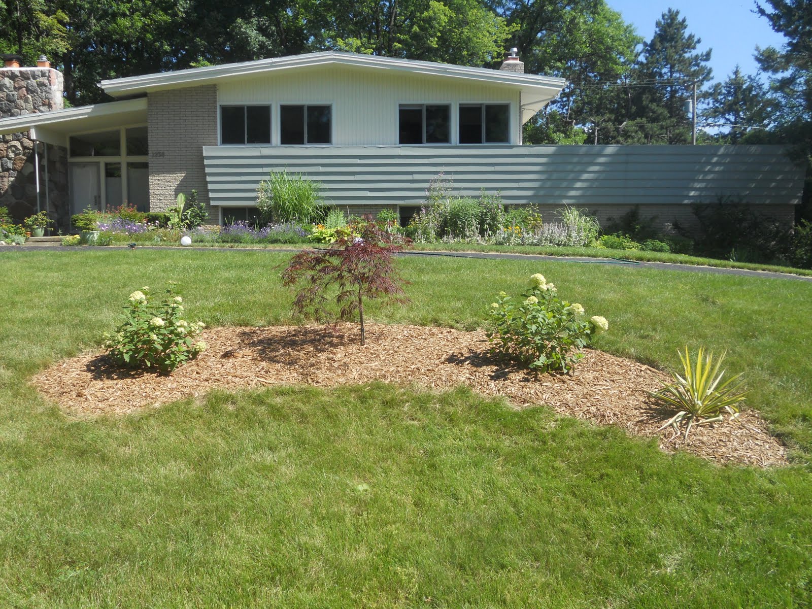 Yard Bed