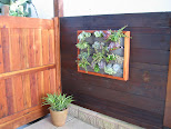 #3 Vertical Garden Idea  HD & Widescreen Wallpaper
