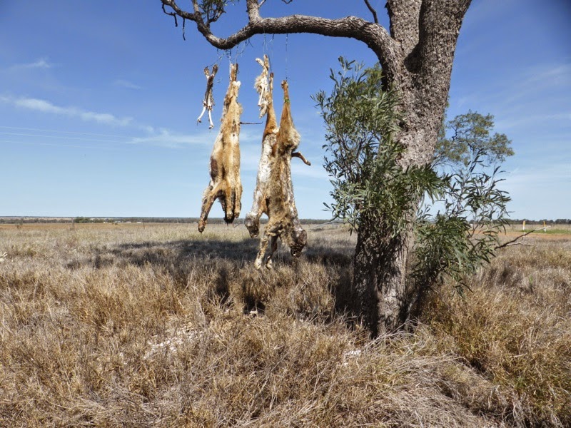 Artist as Family October 2014