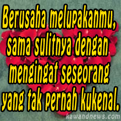 Kata Kata Bijak Sakit Hati | Kata Kata Gokil Raja Gombal