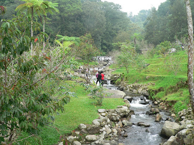 foto sungai kecil gambar sungai kecil