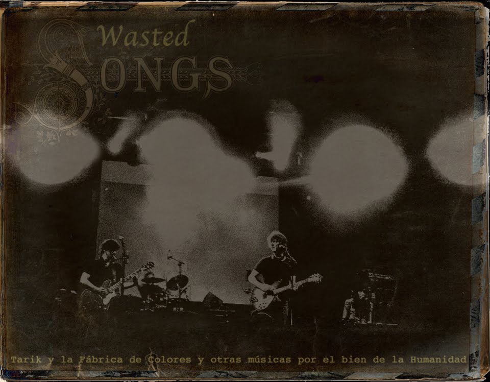 Wasted Songs