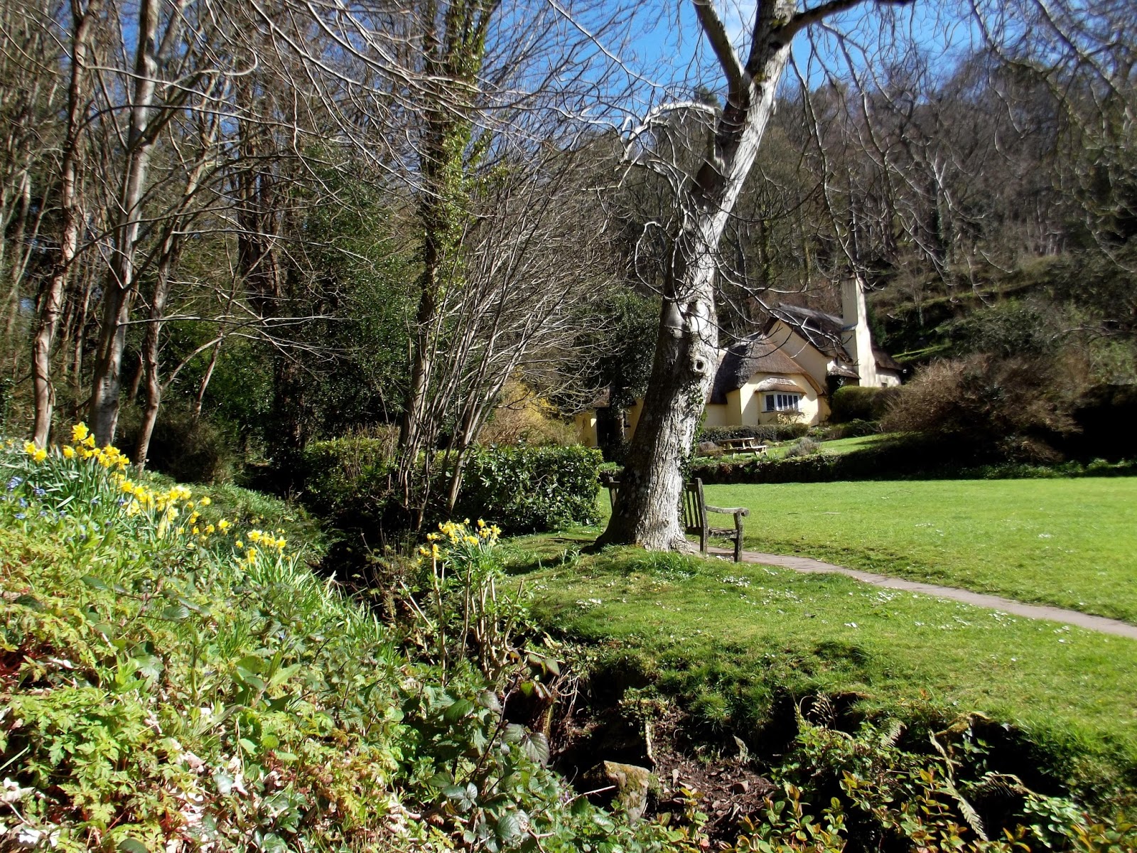 Garden in Selworthy.