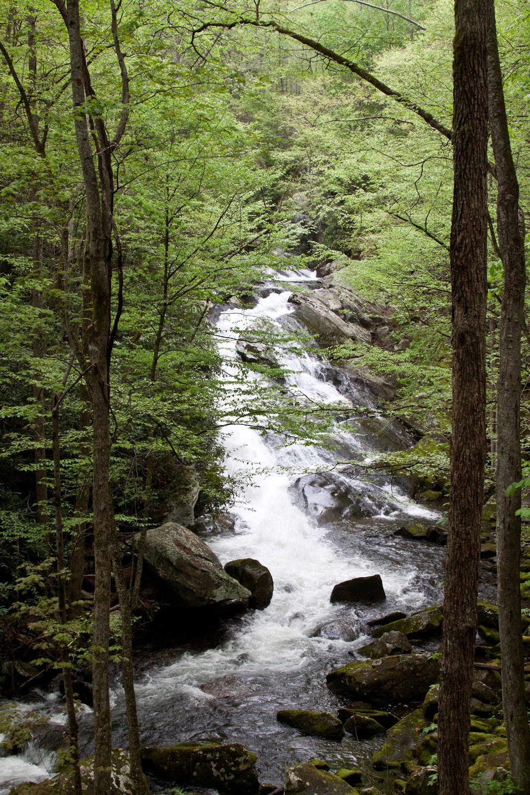 Tempo and Speed Smoky Mountain Rain