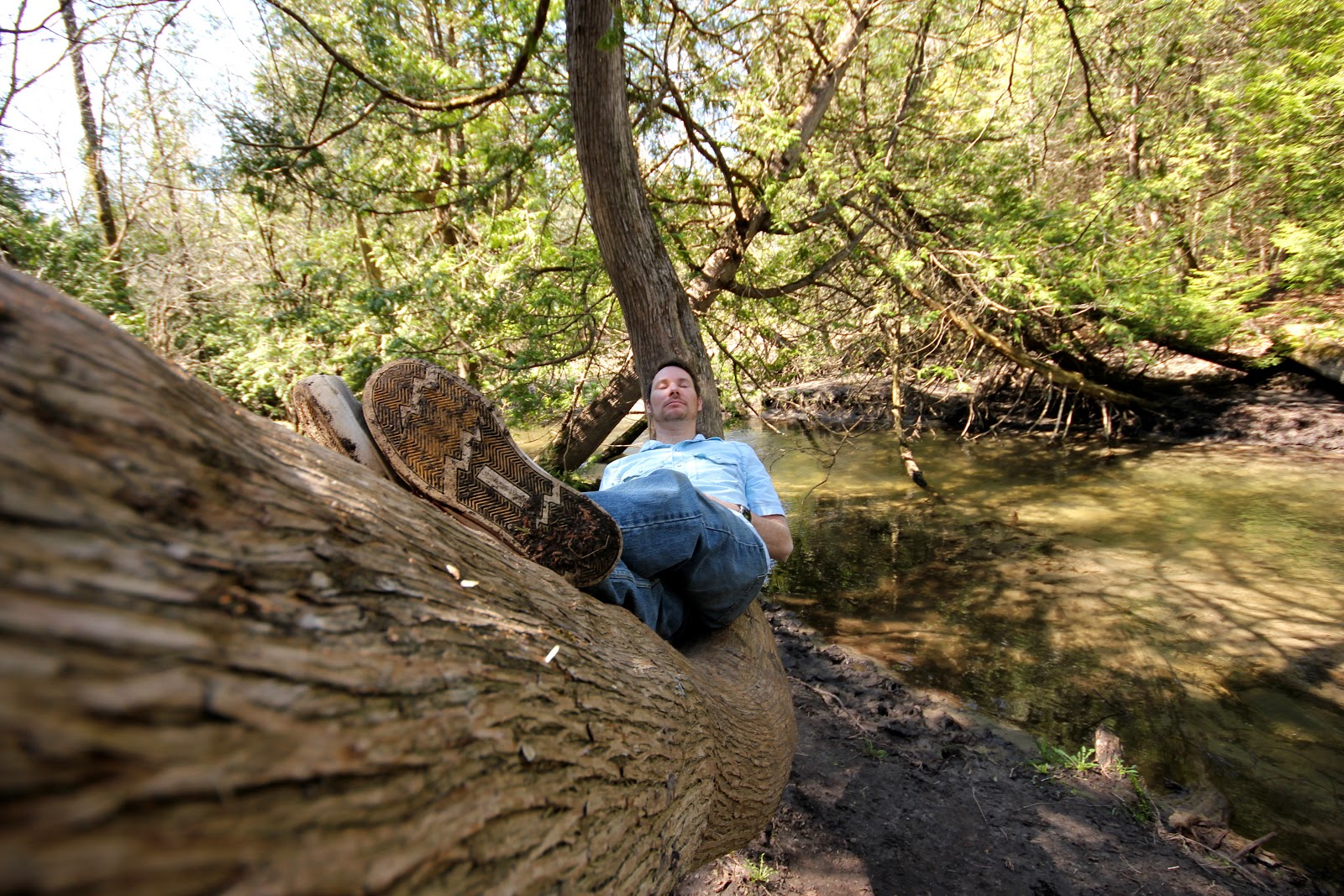 Fresh Air & Fly Bites Day Hike Millbrook Valley Trails Millbrook