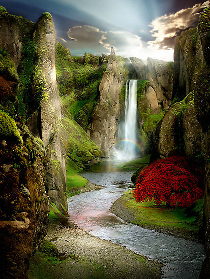 Nature S Prophet Main Nature S Prophet Main