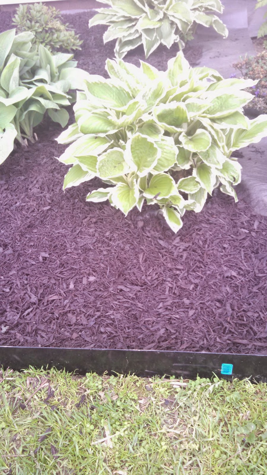 Penny Pincher Journal Home Improvement