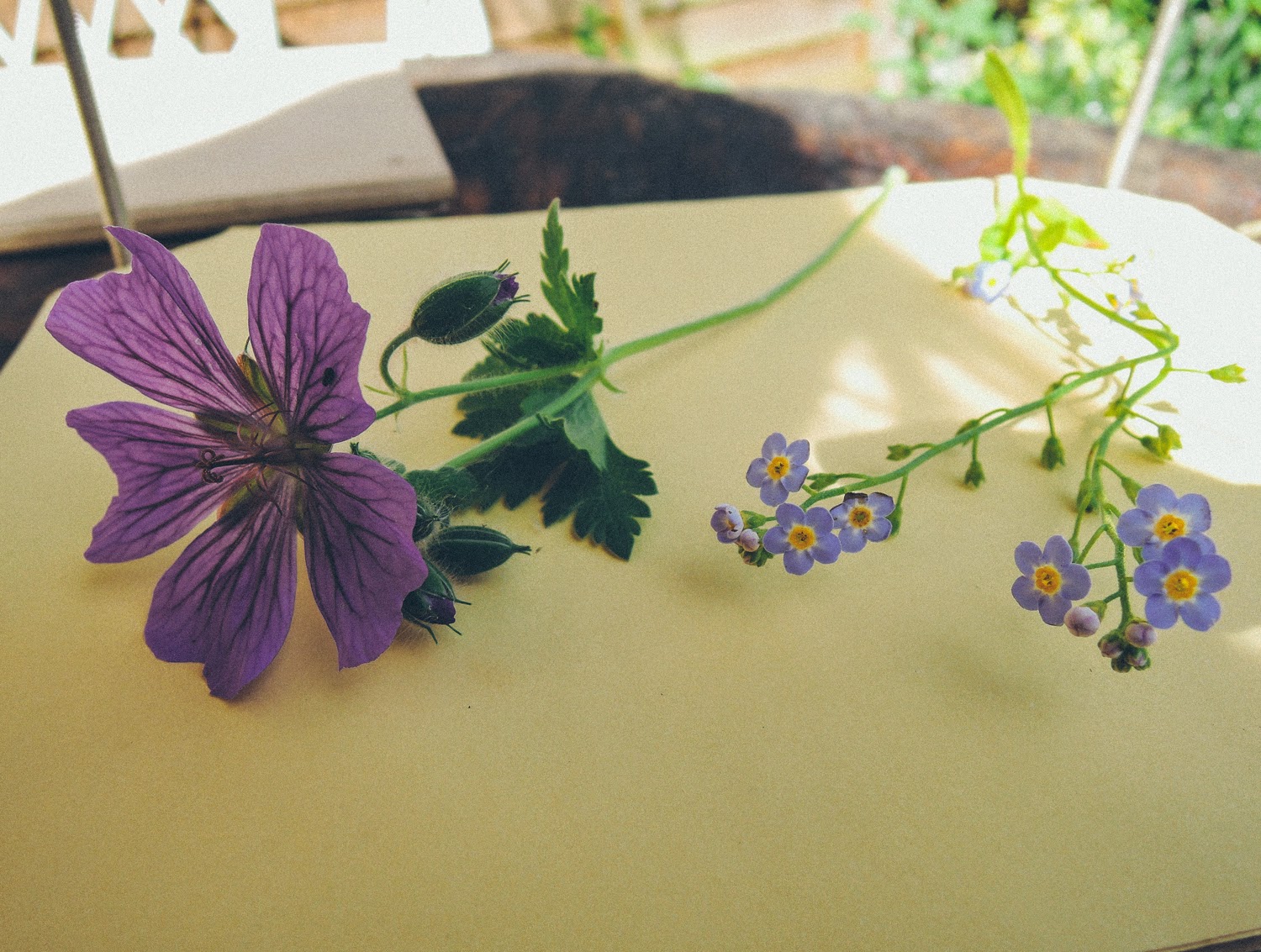 A handmade cottage How to press flowers using books OR flower press