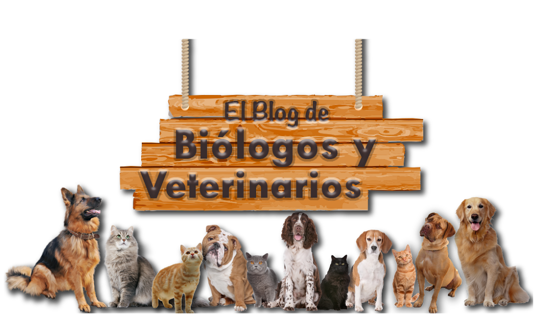 El blog de Biólogos y Veterinarios 