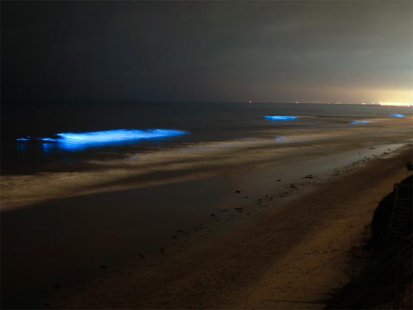 Glowing Ocean