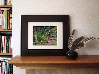 an aged and rustic stairway through an enchanted forest