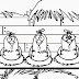 Desenho das Três Galinhas Pintadinhas Para Colorir