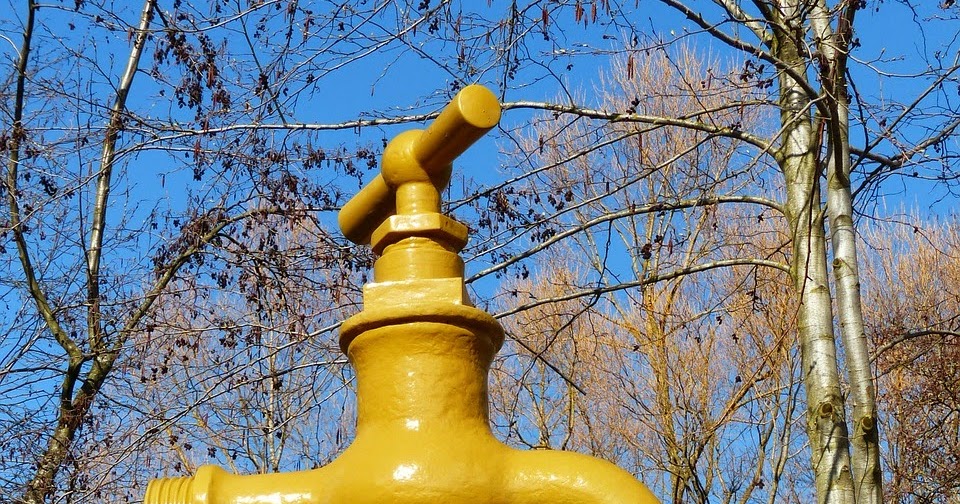 Tiny House Homestead How to Live Without Running Water