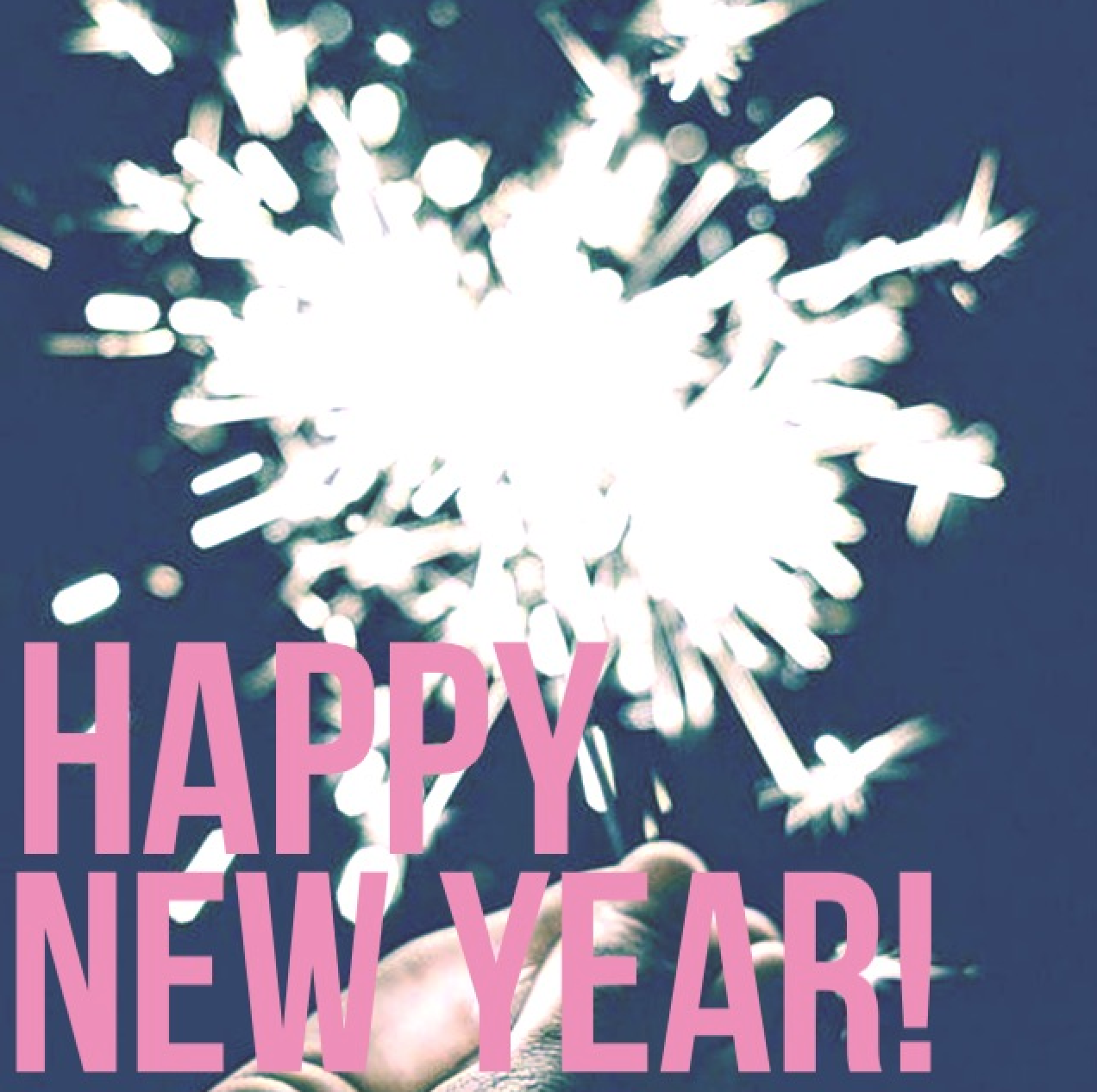 Buzz, Boots and Berries Happy New Year! Now Let's Get to Work